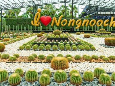 nong-nooch nong-nooch